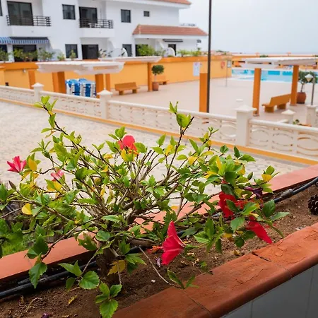 Seguro Spacious Apartment With Roomy Terrace Puerto de Santiago  Extérieur photo
